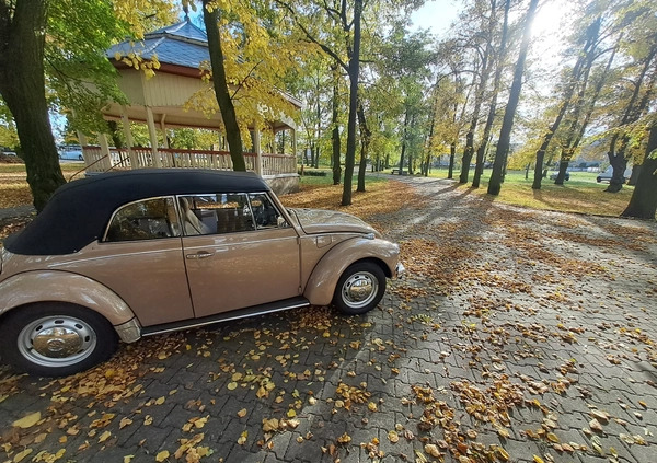 Volkswagen Garbus cena 95000 przebieg: 86000, rok produkcji 1971 z Września małe 667